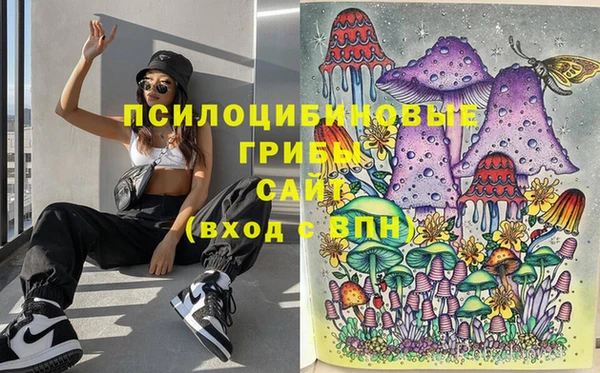 трава Нефтекумск