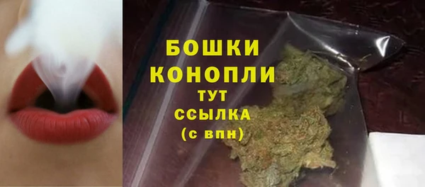 ALPHA PVP Новозыбков