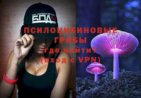 ALPHA PVP Новозыбков