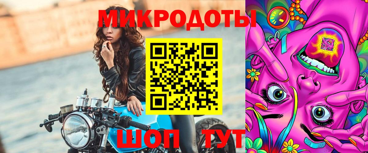 Псилоцибиновые грибы Psilocybe Костомукша