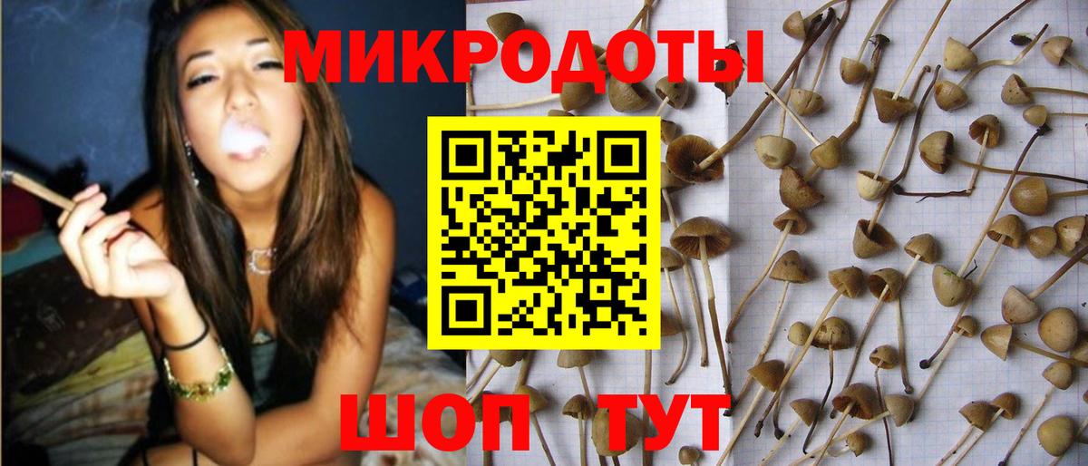 где купить наркоту  Вход с VPN  Костомукша  Галлюциногенные грибы прущие грибы 